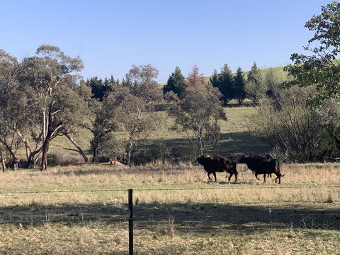 OConnell Retreat BnB - Hotel WA 1
