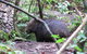 Paradiso Kinglake - thumb 2