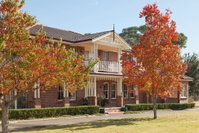 Plumes on the Green Boutique Bed  Breakfast