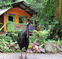 Rainforest Hideaway - Hotel WA