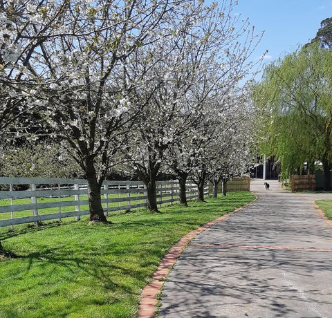 Ray's Farm - Hotel WA 1