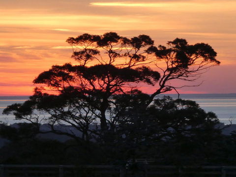Red Hill Ridge - Hotel WA 1