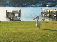 Riverfront Getaway - Mannum