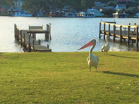 Riverfront Getaway - Mannum - Hotel WA 0