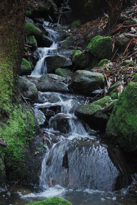 Rocky Creek Art Garden B&B - Hotel WA 3