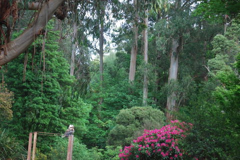 Rocky Creek Art Garden B&B - Hotel WA 2