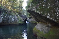 Book Salisbury Accommodation Vacations Hotel WA Hotel WA