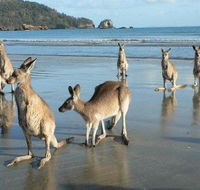 Seaforth Holiday Units - Hotel WA