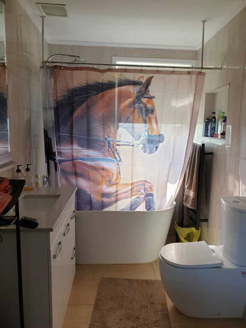 Silverbirch Cottage - Hotel WA 3