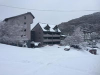 Book Falls Creek Accommodation Vacations Hotel WA Hotel WA