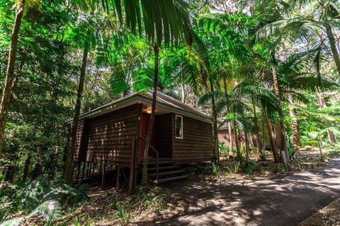 Songbirds Rainforest Retreat - Hotel WA 2