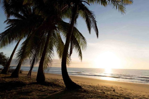 Spice At Oak Award Winning Luxury Absolute Oceanfront House Oak Beach Near Port Douglas - Hotel WA 1