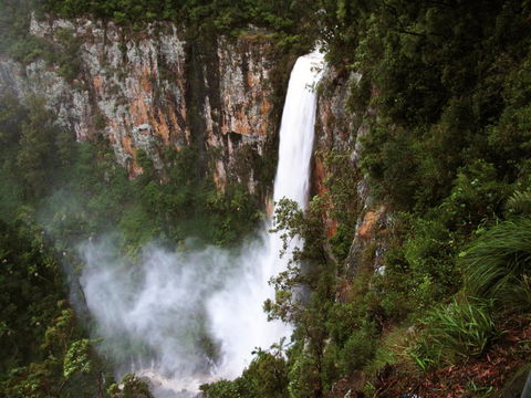 Springbrook Lyrebird Retreat - Hotel WA 2