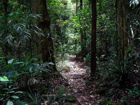 Springbrook Lyrebird Retreat - Hotel WA 0