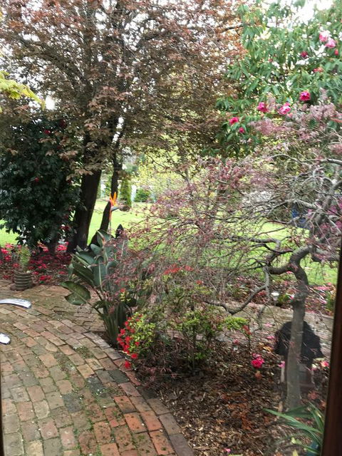 Stony Rise Cottage B&B - Hotel WA 1
