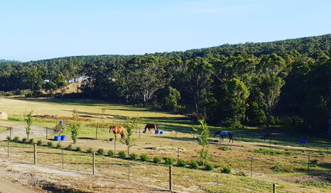 Lockleigh Park - Hotel WA 19