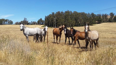 Lockleigh Park - Hotel WA 28
