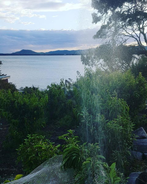 AppleBay Guest House - Hotel WA 31