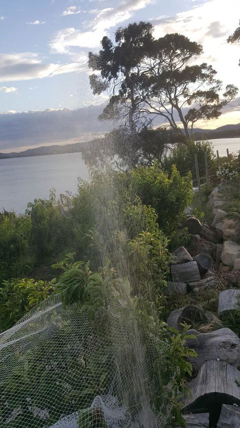 AppleBay Guest House - Hotel WA 21