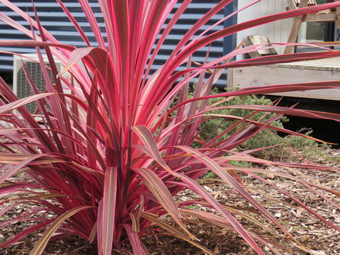 Captain Cook Holiday Park - Hotel WA 15