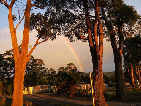 Captain Cook Holiday Park - Hotel WA 12