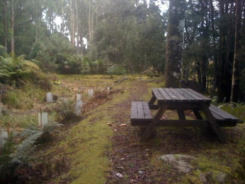 Sassafras Springs - Hotel WA 9