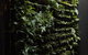 Moss Hotel - thumb 2