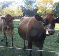 Drumreagh Bed  Breakfast Cabins - Hotel WA