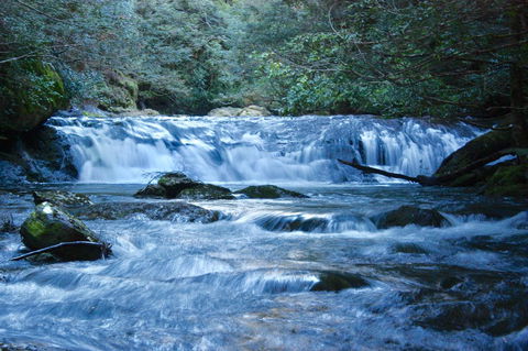 Lemonthyme Wilderness Retreat - Hotel WA 10