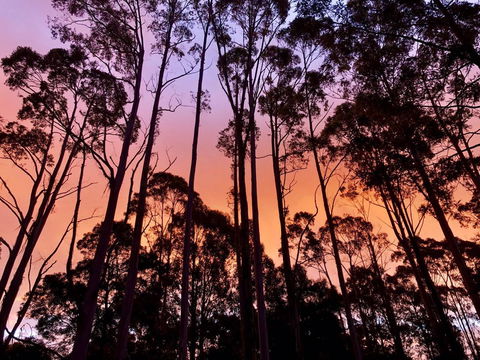 Lemonthyme Wilderness Retreat - Hotel WA 8