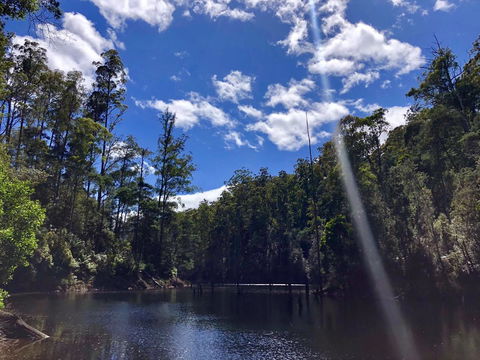 Lemonthyme Wilderness Retreat - Hotel WA 7