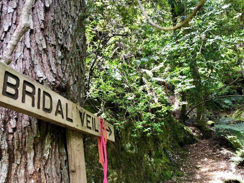 Lemonthyme Wilderness Retreat - Hotel WA 18