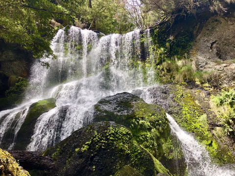 Lemonthyme Wilderness Retreat - Hotel WA 14