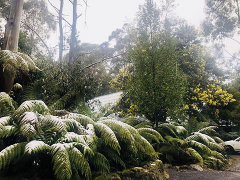 Lemonthyme Wilderness Retreat - Hotel WA 16