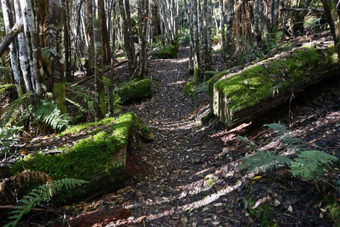 Lemonthyme Wilderness Retreat - Hotel WA 22