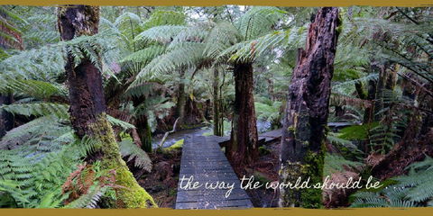 Lemonthyme Wilderness Retreat - Hotel WA 17