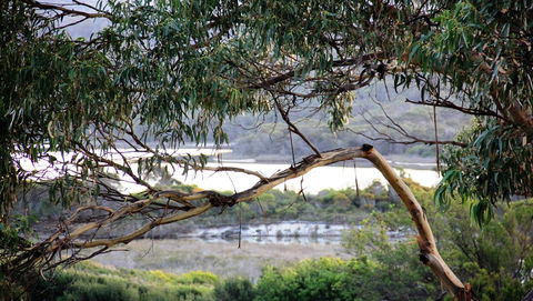 KINGFISHER COTTAGE Beachfront At The Binalong Bay - Hotel WA 17