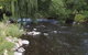 Blue Wren Riverside Cottage - thumb 7