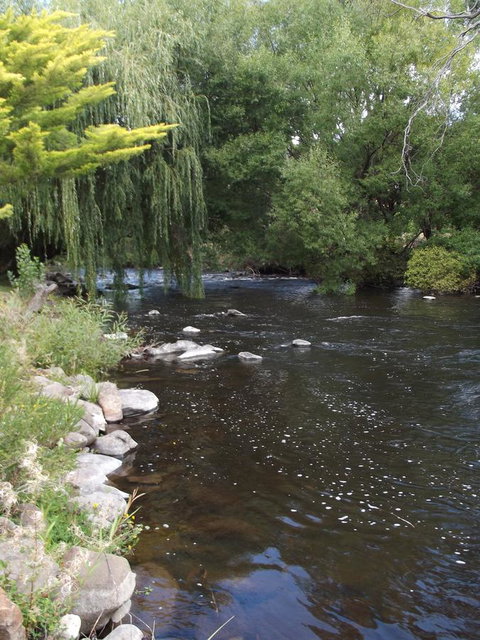 Blue Wren Riverside Cottage - Hotel WA 7