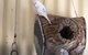 Blue Wren Bungalow - thumb 12