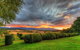 Old WesleyDale Heritage Accommodation - thumb 13