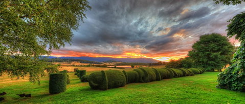 Old WesleyDale Heritage Accommodation - Hotel WA 13