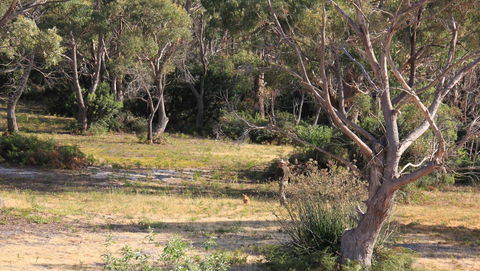 BAY OF FIRES SEACHANGE Ocean Frontage - Hotel WA 12