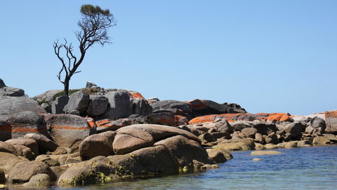 BAY OF FIRES SEACHANGE Ocean Frontage - Hotel WA 21