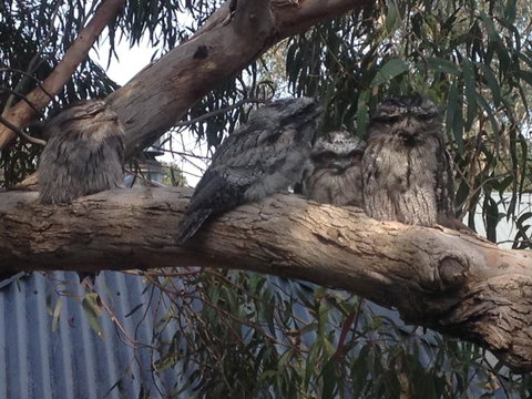 Kookas Retreat - Hotel WA 15