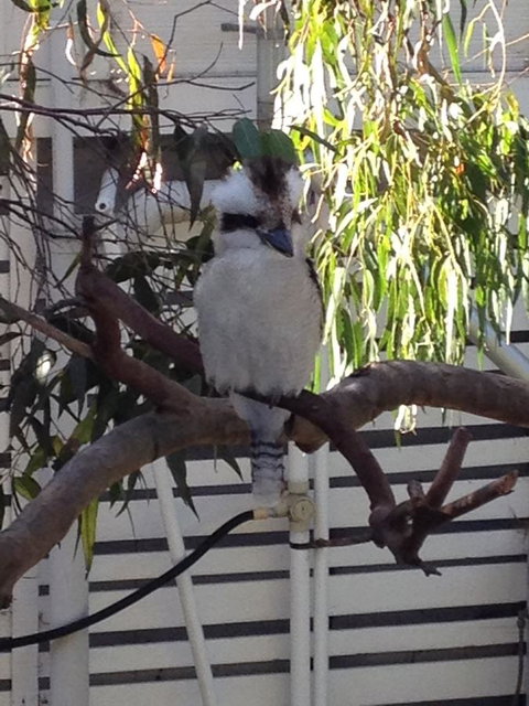 Kookas Retreat - Hotel WA 16