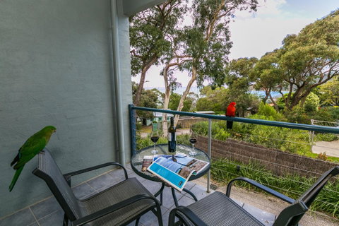Lorne Surf Apartments - Hotel WA 21