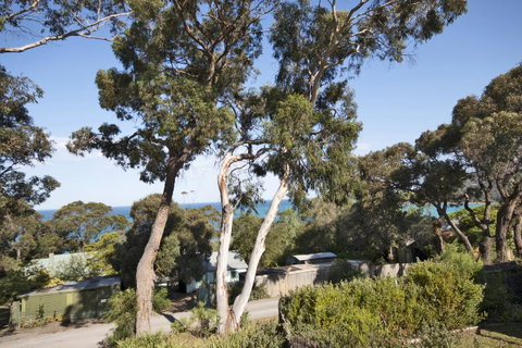 Lorne Surf Apartments - Hotel WA 11