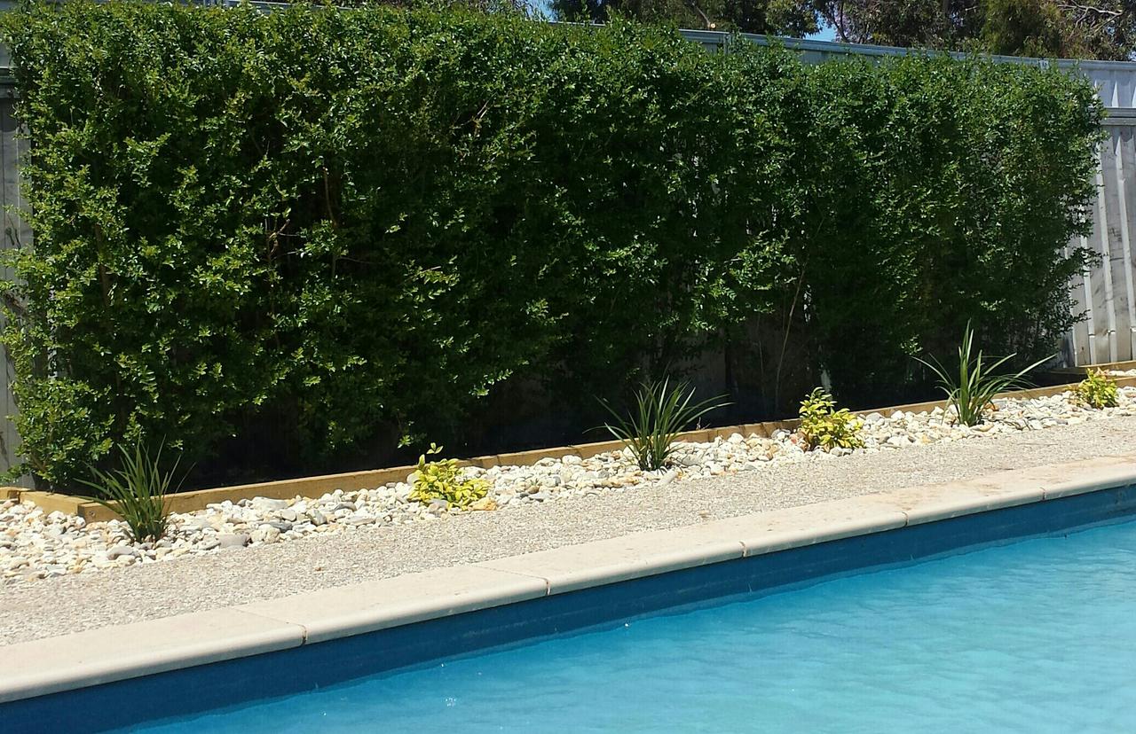 Robinvale VIC Hotel WA