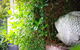 Capella Villa No. 4 - Stunning Luxury Decor Inside And Out - thumb 15